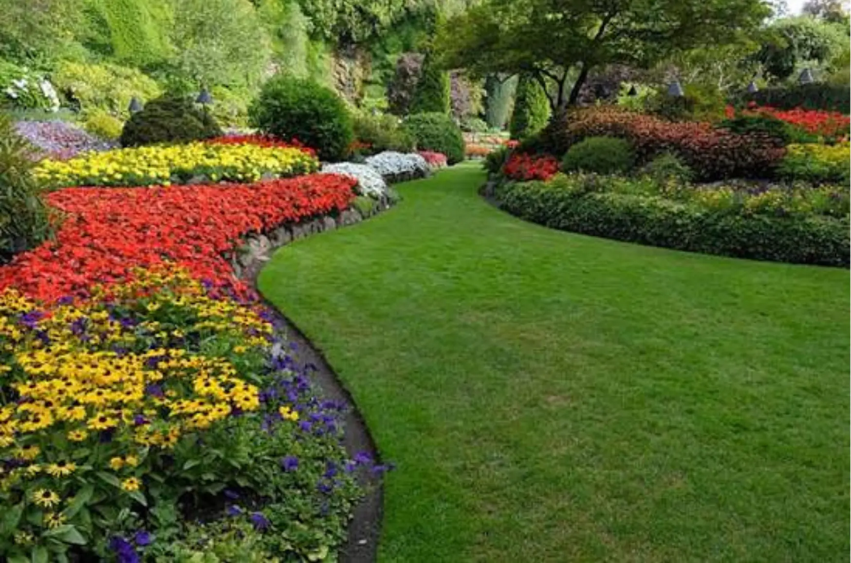 visual of a garden with multi colour flowers and very nicely trimmed in shallowater