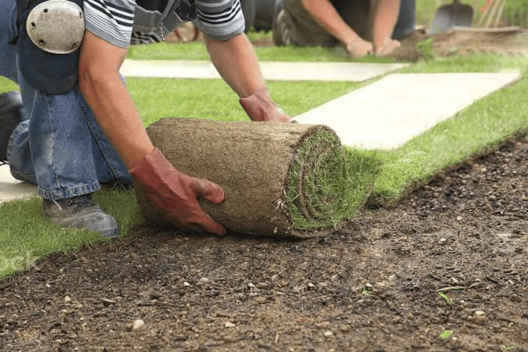 sod installation repair and replacement Lubbock TX patchy lawn restoration by Hubcity Landscaping