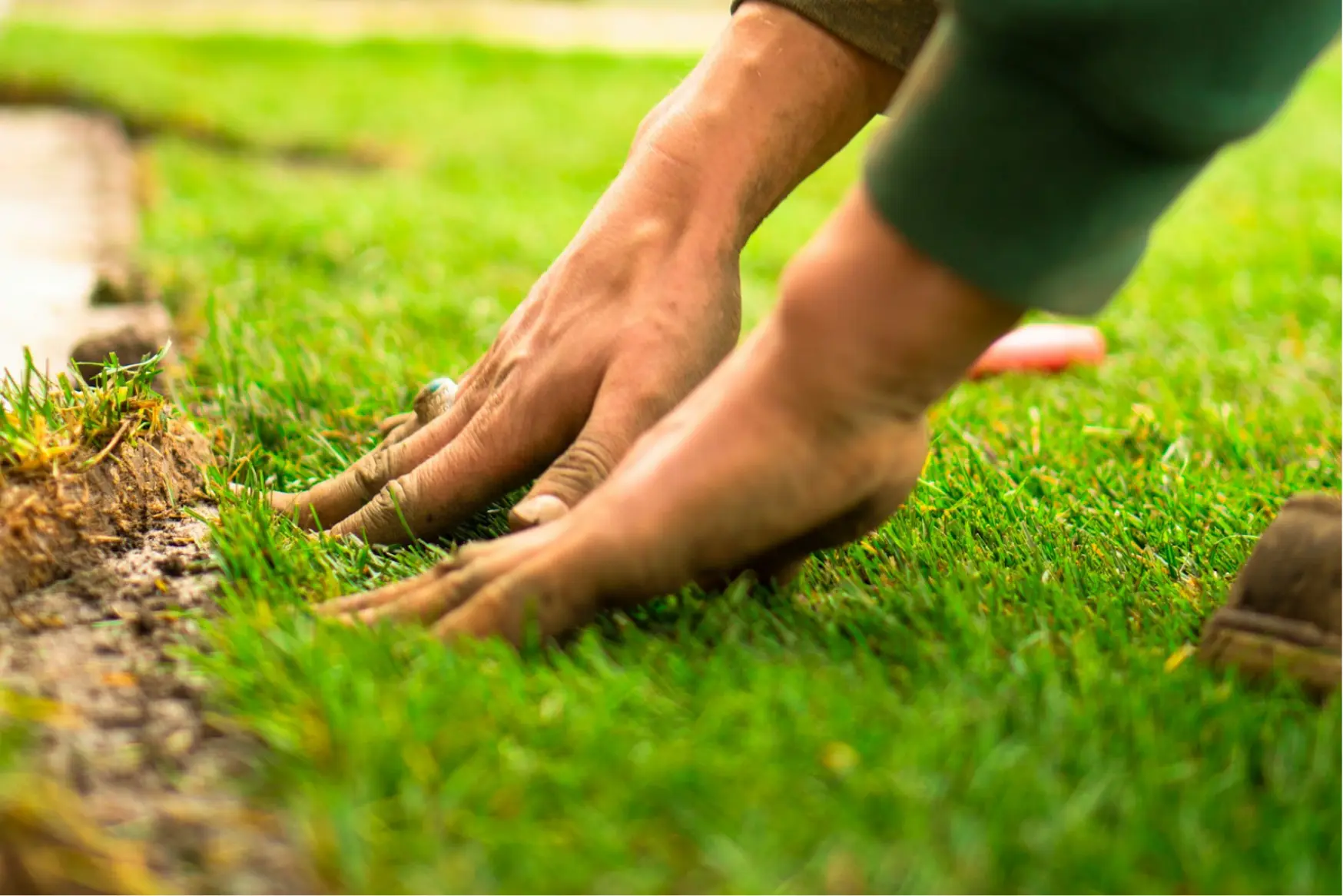 professional sod installation Lubbock TX green lawn by Hubcity Landscaping