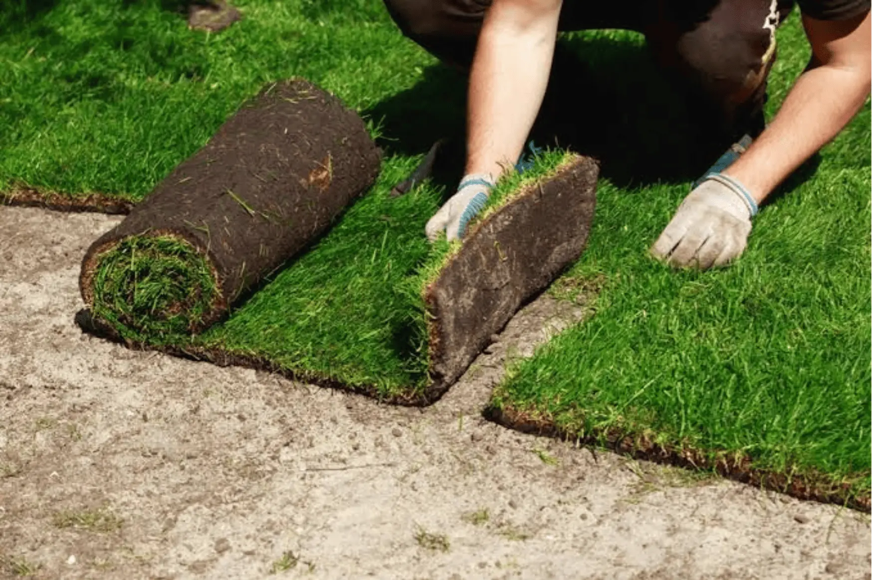 Paver patio sod replacing a traditional lawn at a Lubbock TX home why sod installation works differently in Lubbock TX clay caliche soil conditions